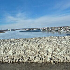 Meet your Posher, Limor